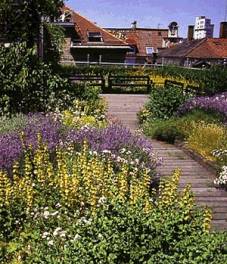 Green rooftops benefit everyone!